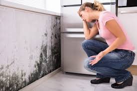 Best Mold Odor Removal Services  in Saratoga Springs, NY